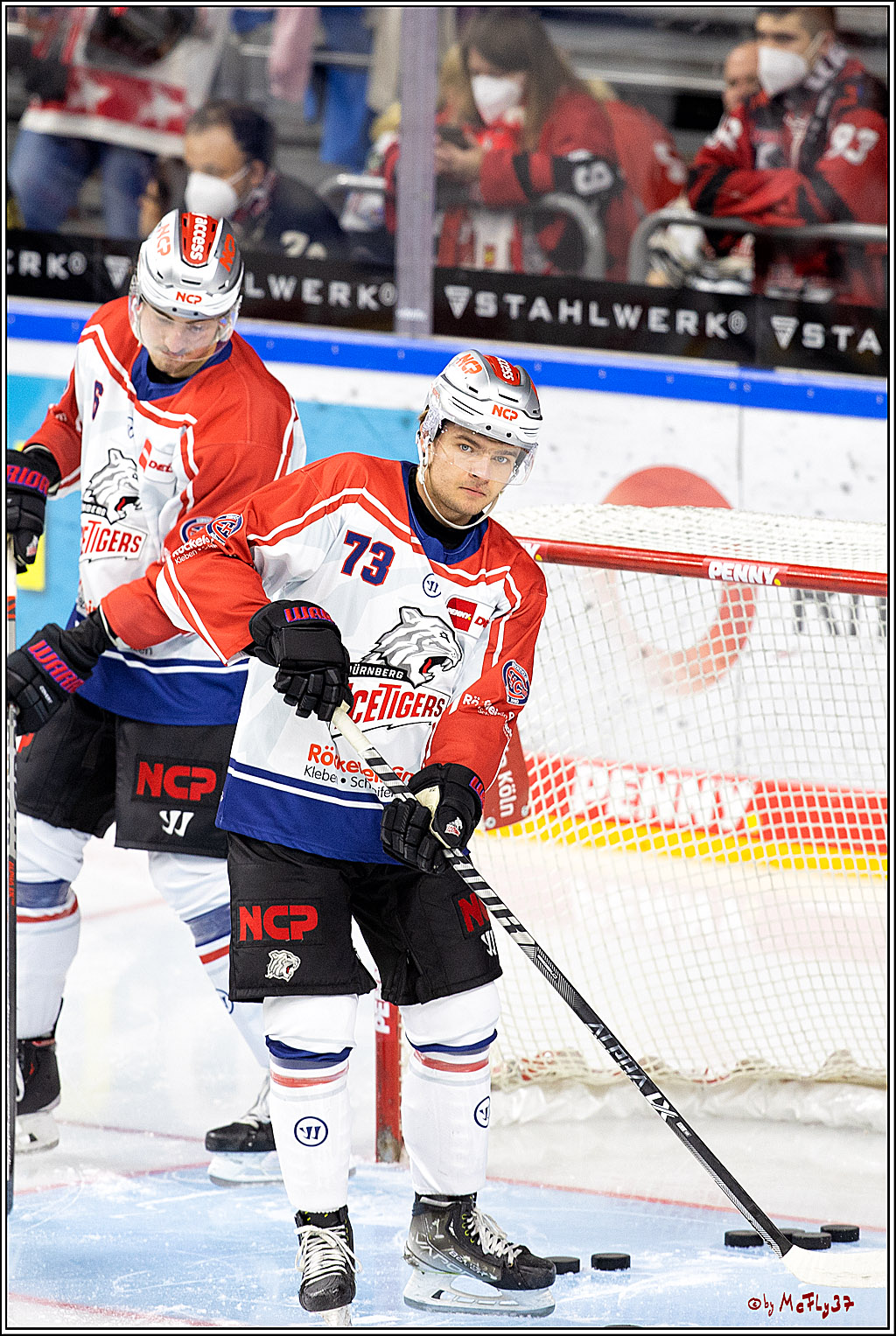 PENNY DEL;  Kölner Haie - Nuernberger Ice Tigers; Köln, 18.11.2022